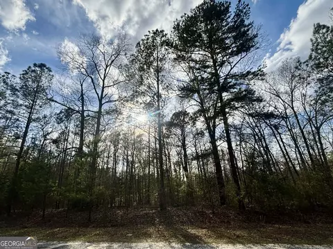 676 Tayler Paige Dr, Box Springs, GA 31801