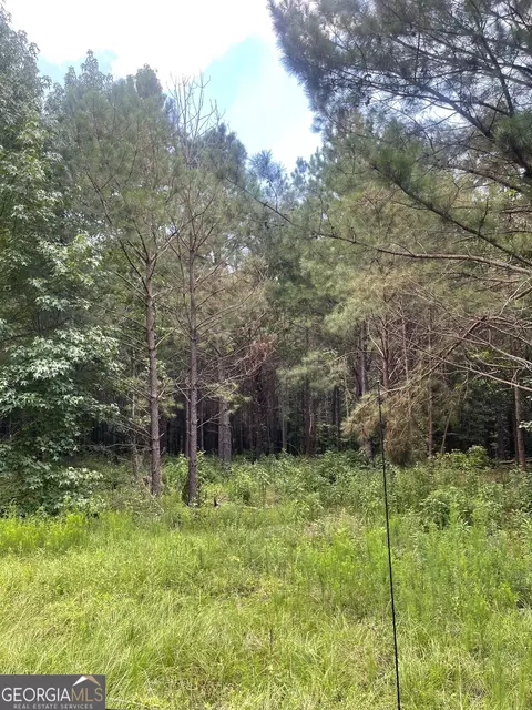0 Main St, Milner, GA 30257 photo 2
