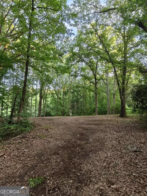 0 Quick Dr, Senoia, GA 30276 photo 2