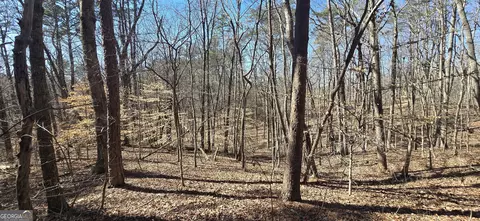 Tract 2 Friendship Trail, Talking Rock, GA 30175
