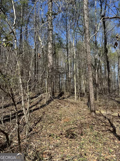 0 Poplar Mountain Ln, Carnesville, GA 30521