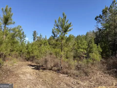 008 Sealy Wells Rd, Gordon, AL 36343