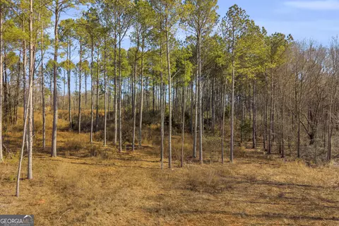 0 Noah Crow Rd, Royston, GA 30662 photo 3