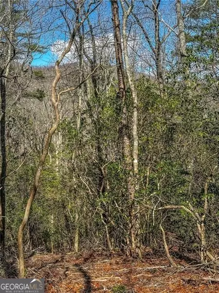 0 Ts Jarrard Rd, Dahlonega, GA 30533