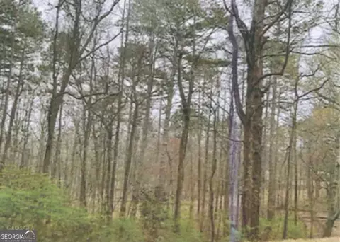 0 Gainesville Hwy, Winder, GA 30680 photo 3