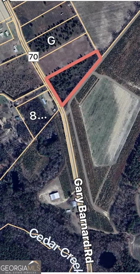 0 Gary Barnard Rd #LOT 8, Cobbtown, GA 30420