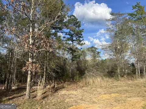 0 Highway 80 E, Brooklet, GA 30415 photo 2