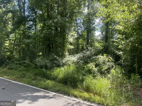 0 Southern Shrs, Jackson, GA 30233 photo 4