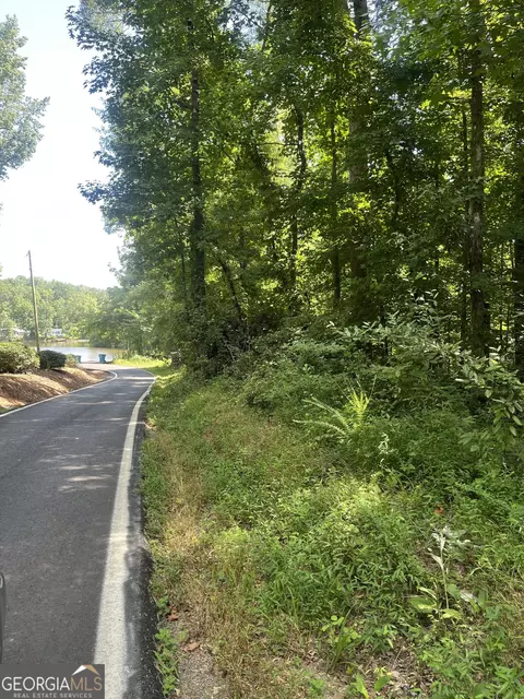 0 Southern Shrs, Jackson, GA 30233 photo 5