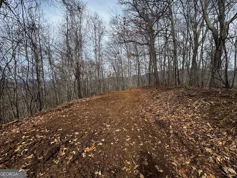 20 Acres Burnt Leaf Ln, Hayesville, NC 28904