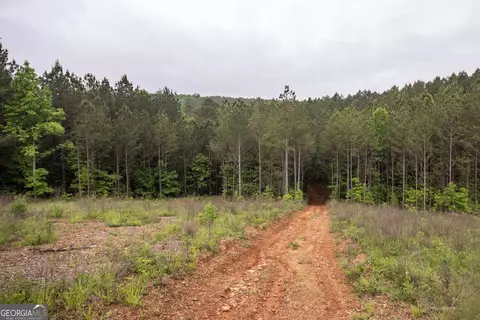 0 Hidden Creek Rd, Jasper, GA 30143 photo 4