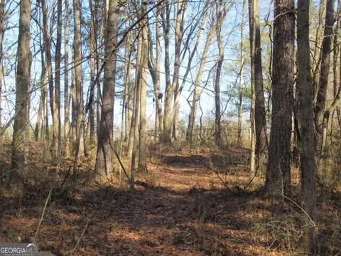 5050 Stateline Rd, Bowdon, GA 30108 photo 6