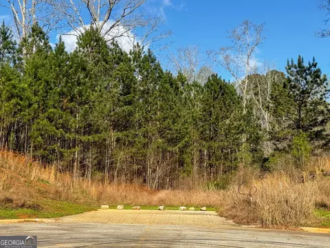 105 Crestview Ln, Jackson, GA 30233 photo 14