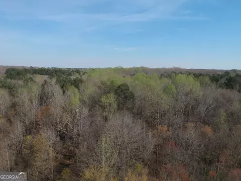 0 Cobb Rd, Covington, GA 30014 photo 2