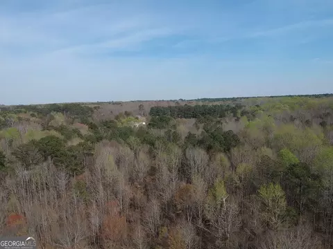 0 Cobb Rd, Covington, GA 30014 photo 10