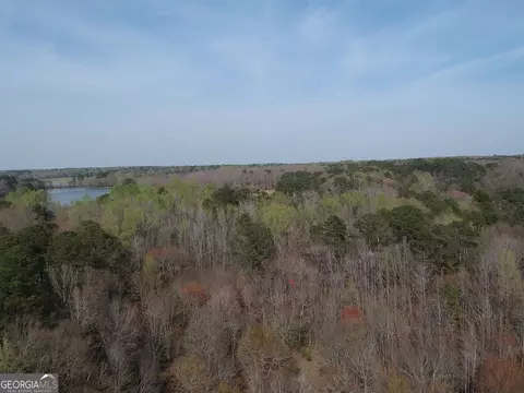 0 Cobb Rd, Covington, GA 30014 photo 11