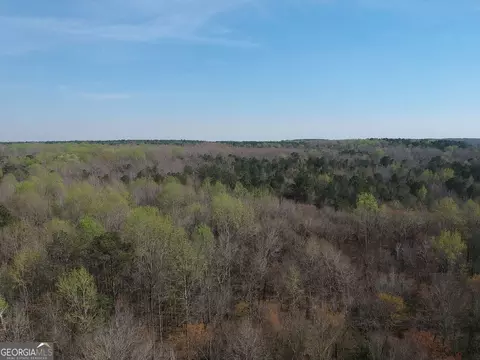 0 Cobb Rd, Covington, GA 30014 photo 3
