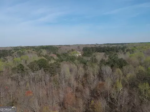 0 Cobb Rd, Covington, GA 30014 photo 4