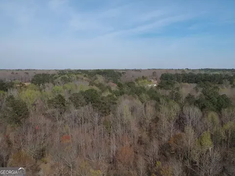 0 Cobb Rd, Covington, GA 30014 photo 17