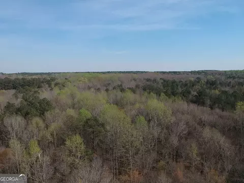 0 Cobb Rd, Covington, GA 30014 photo 16