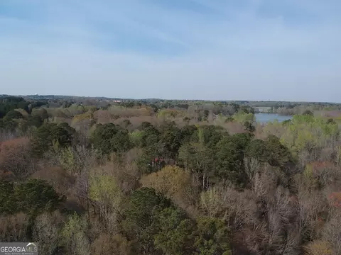 0 Cobb Rd, Covington, GA 30014 photo 18