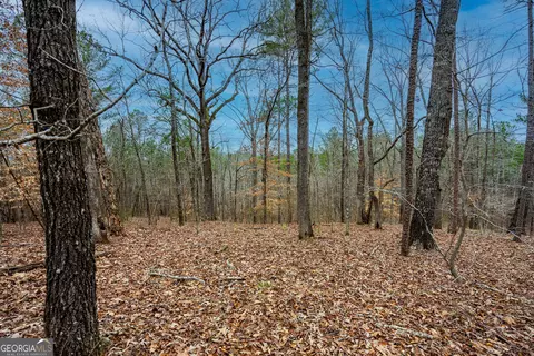 Other - 295 Ferrell Tatum Rd, Lagrange, GA 30240 photo 5 of 6