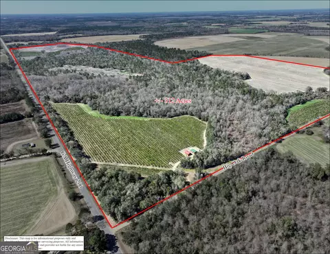 2430 Big Oak Rd, Damascus, GA 39841