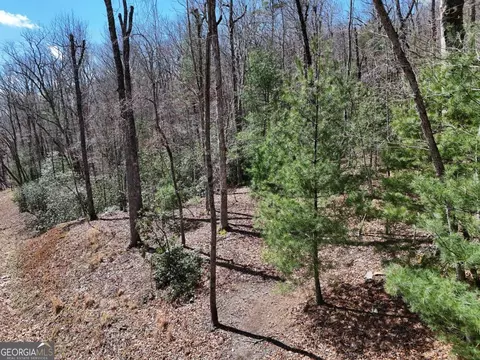 lot9 Native Trl, Blue Ridge, GA 30513