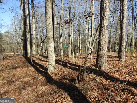 0 Fence Rd, Dacula, GA 30019 photo 2