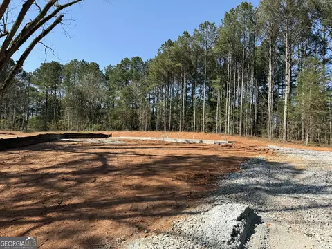 383 Laney Rd, Mcdonough, GA 30252