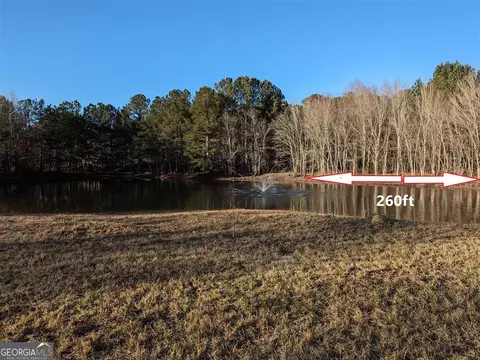 461 Mcdonough Rd, Hampton, GA 30228 photo 2