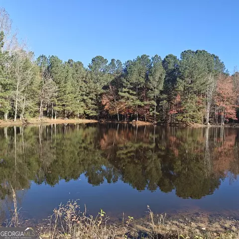 461 Mcdonough Rd, Hampton, GA 30228