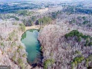 0 Williams Ln #TRACT D, Ball Ground, GA 30107