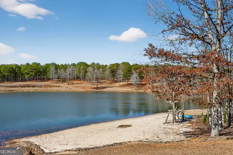 View/Area - 175 Thornton Rd, Franklin, GA 30217 photo 10 of 32