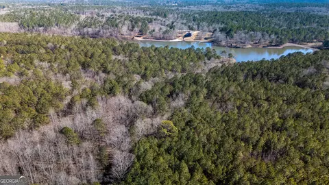 View/Area - 175 Thornton Rd, Franklin, GA 30217 photo 23 of 32