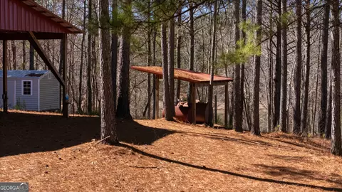 Exterior - 175 Thornton Rd, Franklin, GA 30217 photo 26 of 30