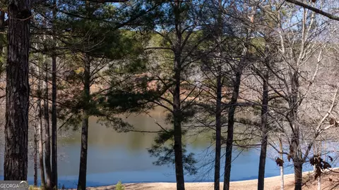 View/Area - 175 Thornton Rd, Franklin, GA 30217 photo 27 of 32