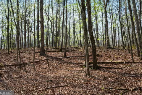 2315 Stonepile Rd #LOT 4, Clarkesville, GA 30523