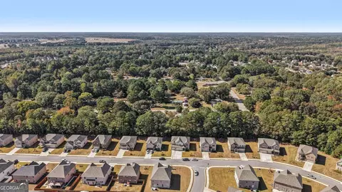 View/Area - 120 Cabin Way, Hampton, GA 30228 photo 6 of 14