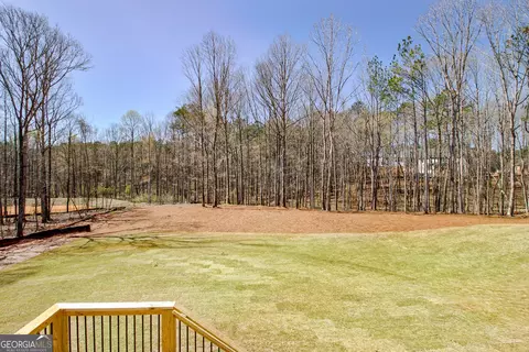 185 Erwin Run, Tyrone, GA 30290 photo 55