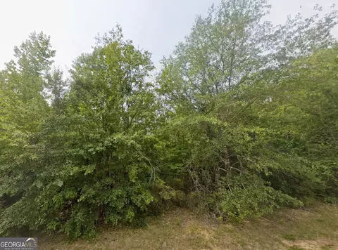0 E Old Wire Rd #18, Butler, GA 31006