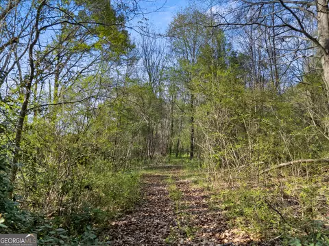 0 Stark Rd, Jackson, GA 30233 photo 15