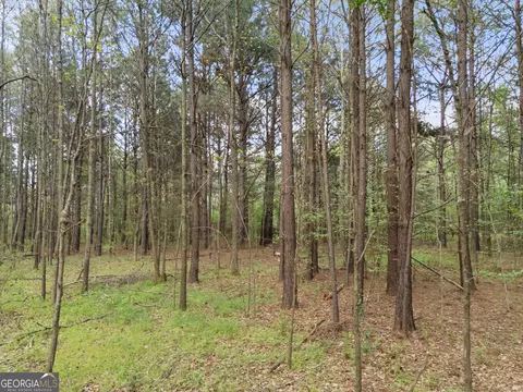 0 Stark Rd, Jackson, GA 30233 photo 12
