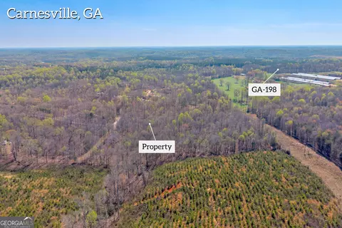 300 Rolling Rock Rd, Carnesville, GA 30521 photo 3