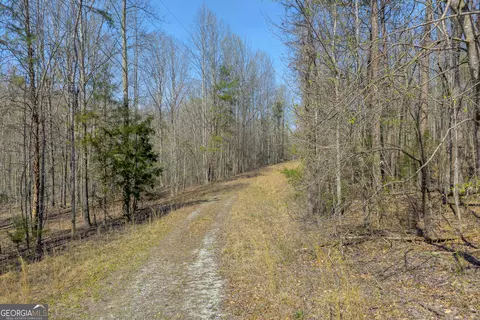 300 Rolling Rock Rd, Carnesville, GA 30521 photo 12