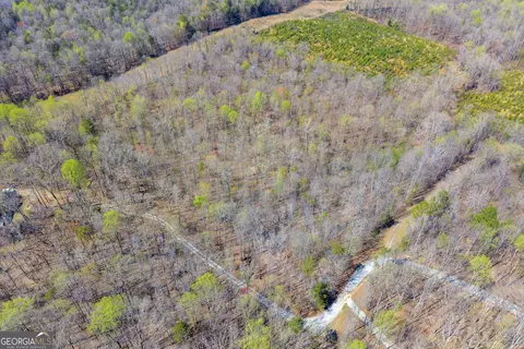300 Rolling Rock Rd, Carnesville, GA 30521 photo 8