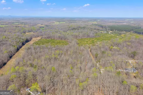 300 Rolling Rock Rd, Carnesville, GA 30521 photo 6