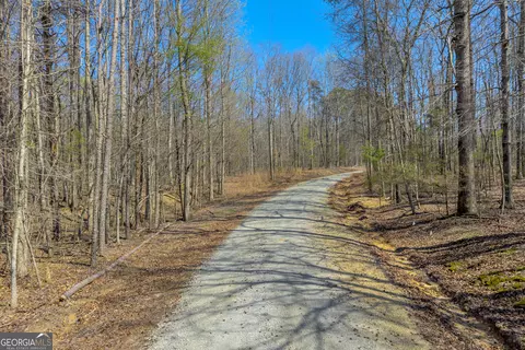 300 Rolling Rock Rd, Carnesville, GA 30521 photo 10