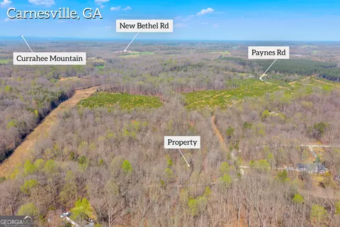300 Rolling Rock Rd, Carnesville, GA 30521 photo 7