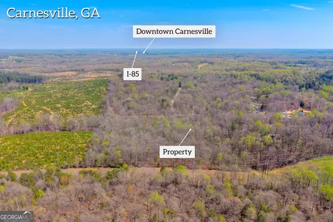 300 Rolling Rock Rd, Carnesville, GA 30521 photo 5